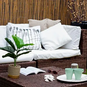 Mirage Place Bed & Breakfast